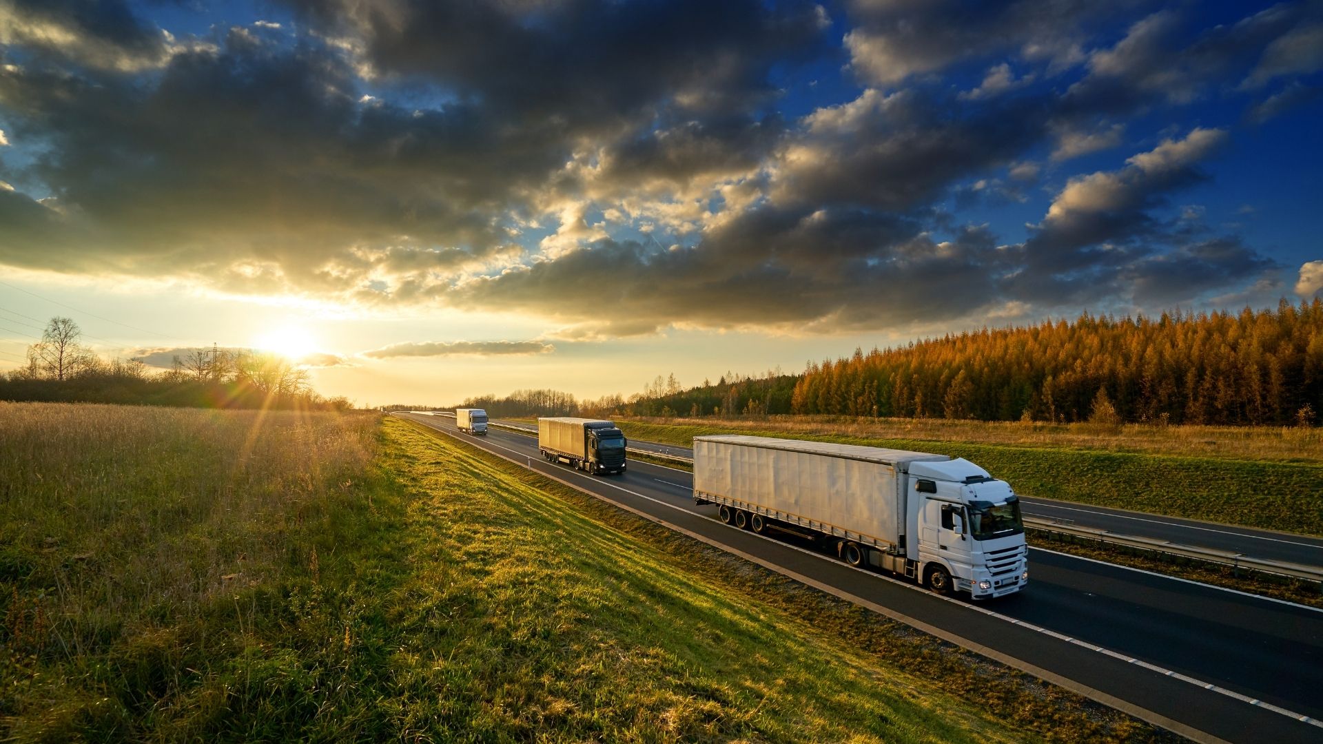 ŞEHİRLER ARASI NAKLİYAT